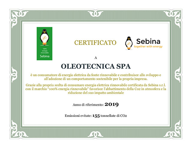 Energia 100% rinnovabile